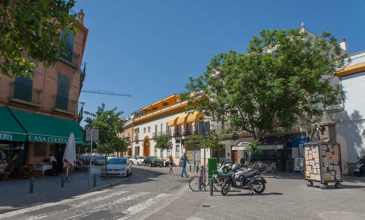 Pureza Oasis Apartament