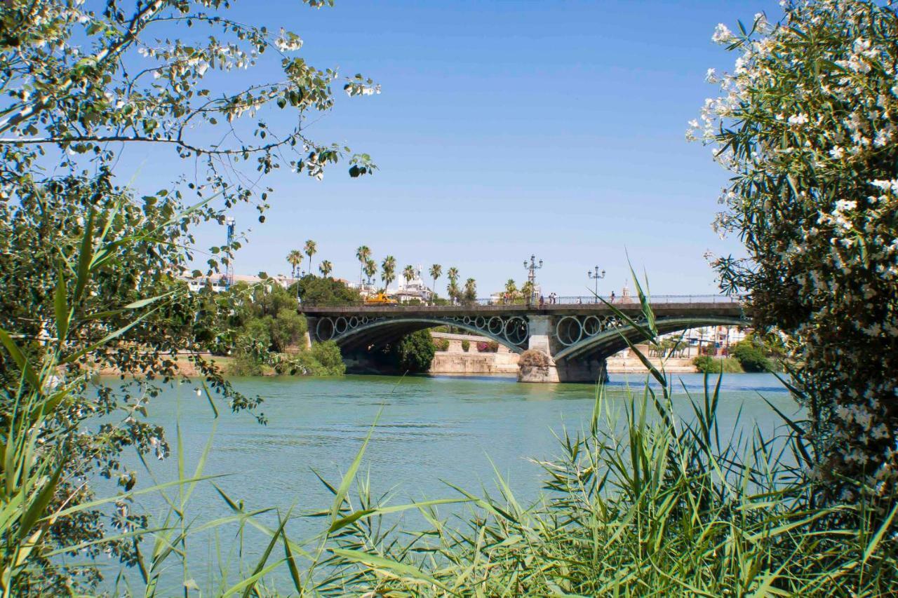 Pureza Oasis Sevilla