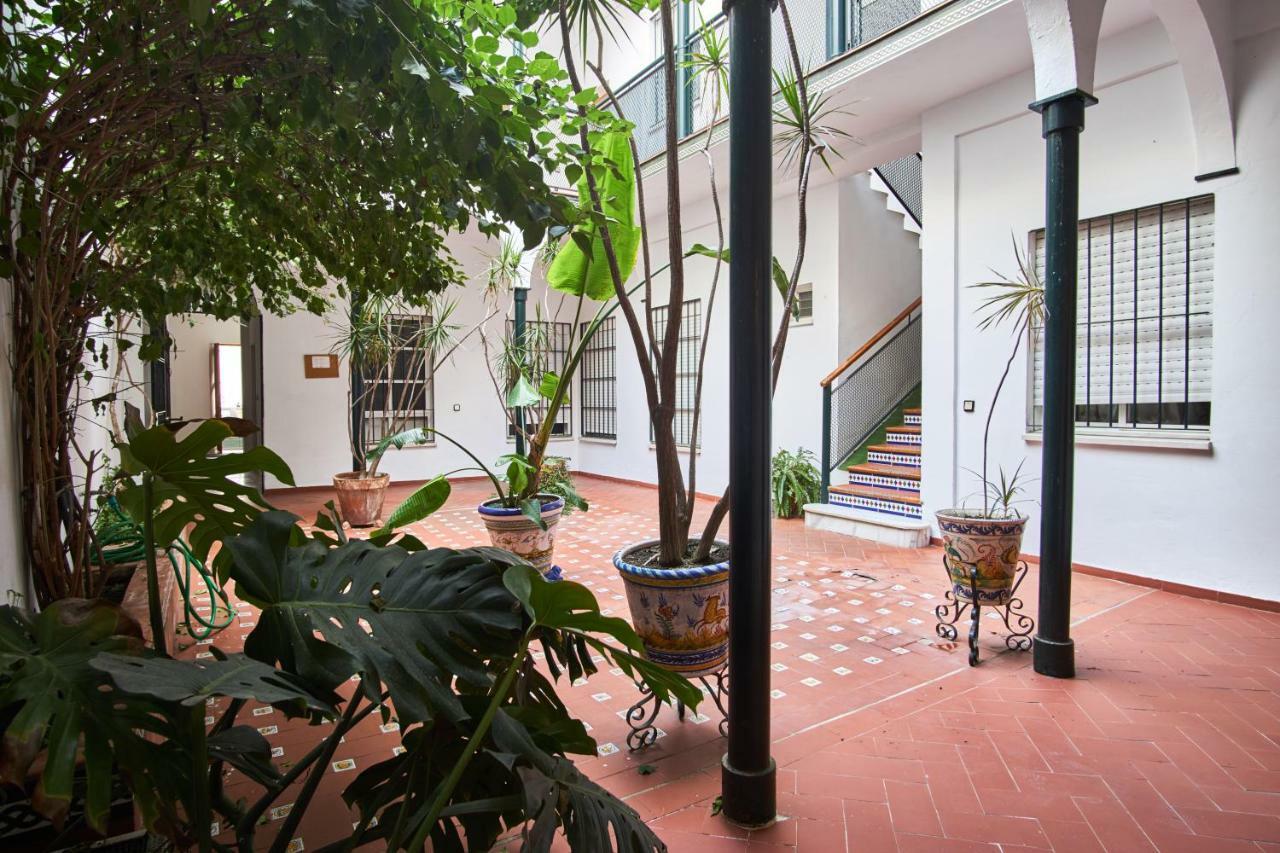 Pureza Oasis Sevilla