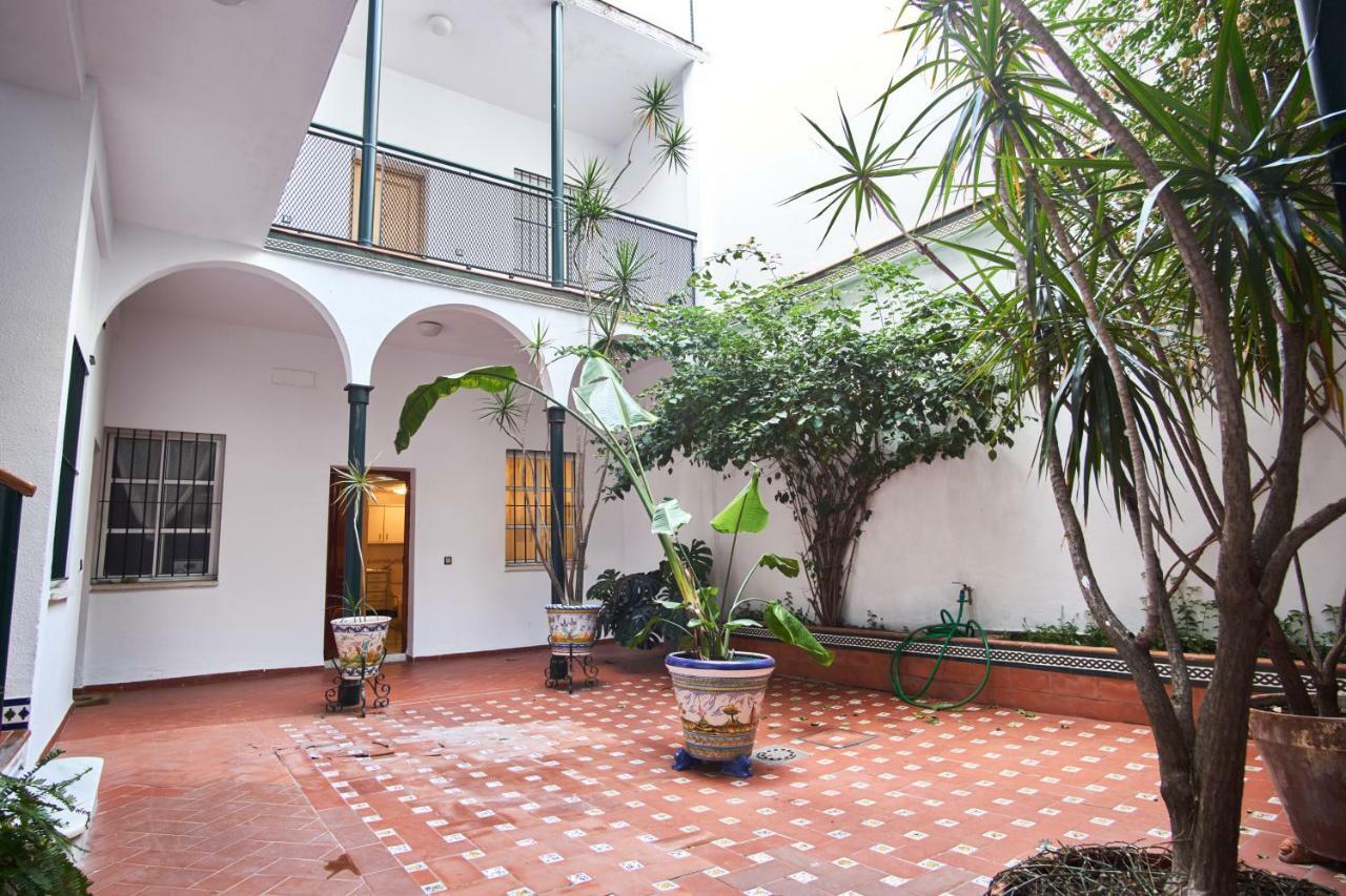 Pureza Oasis Apartament